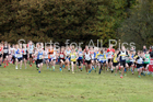 Boys under-13s National Cross Country Relay, Berry Hill Park, Mansfield. Photo:  David T. Hewitson/Sports for All Pics